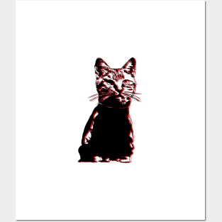 tracktop catt Posters and Art